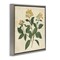 Stupell Industries Yellow Bushels Botanical Illustration Floating Frame, design by Petal Prints Design